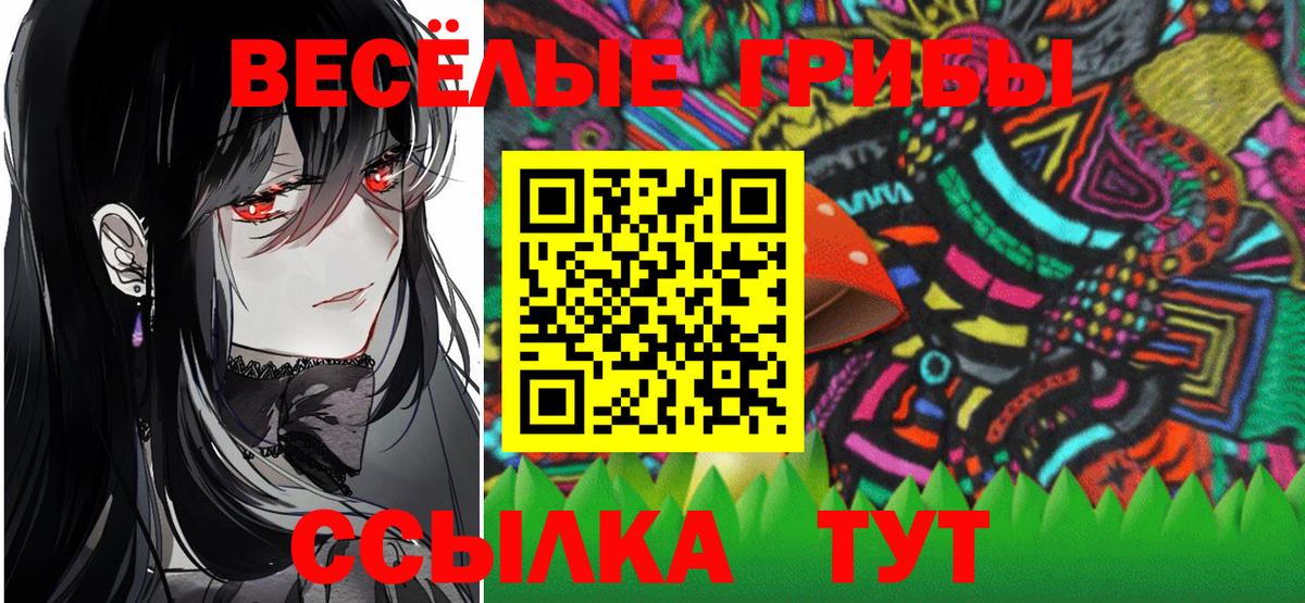 Малоярославец  Псилоцибиновые грибы Psilocybe  Вход с VPN 